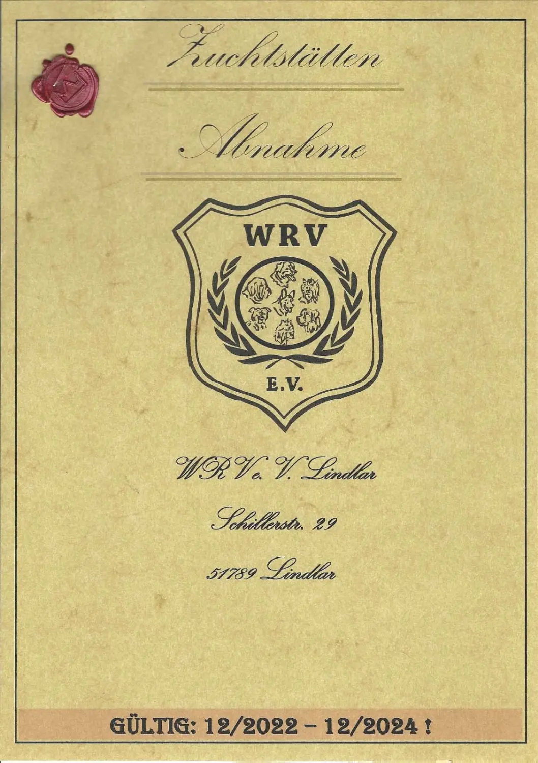 Pomeranianzucht - Hunderasse - Zertifikat