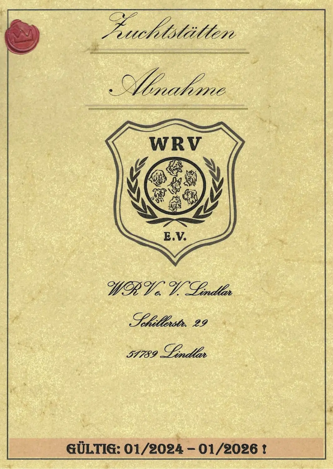 Pomeranianzucht - Hunderasse - Zertifikat