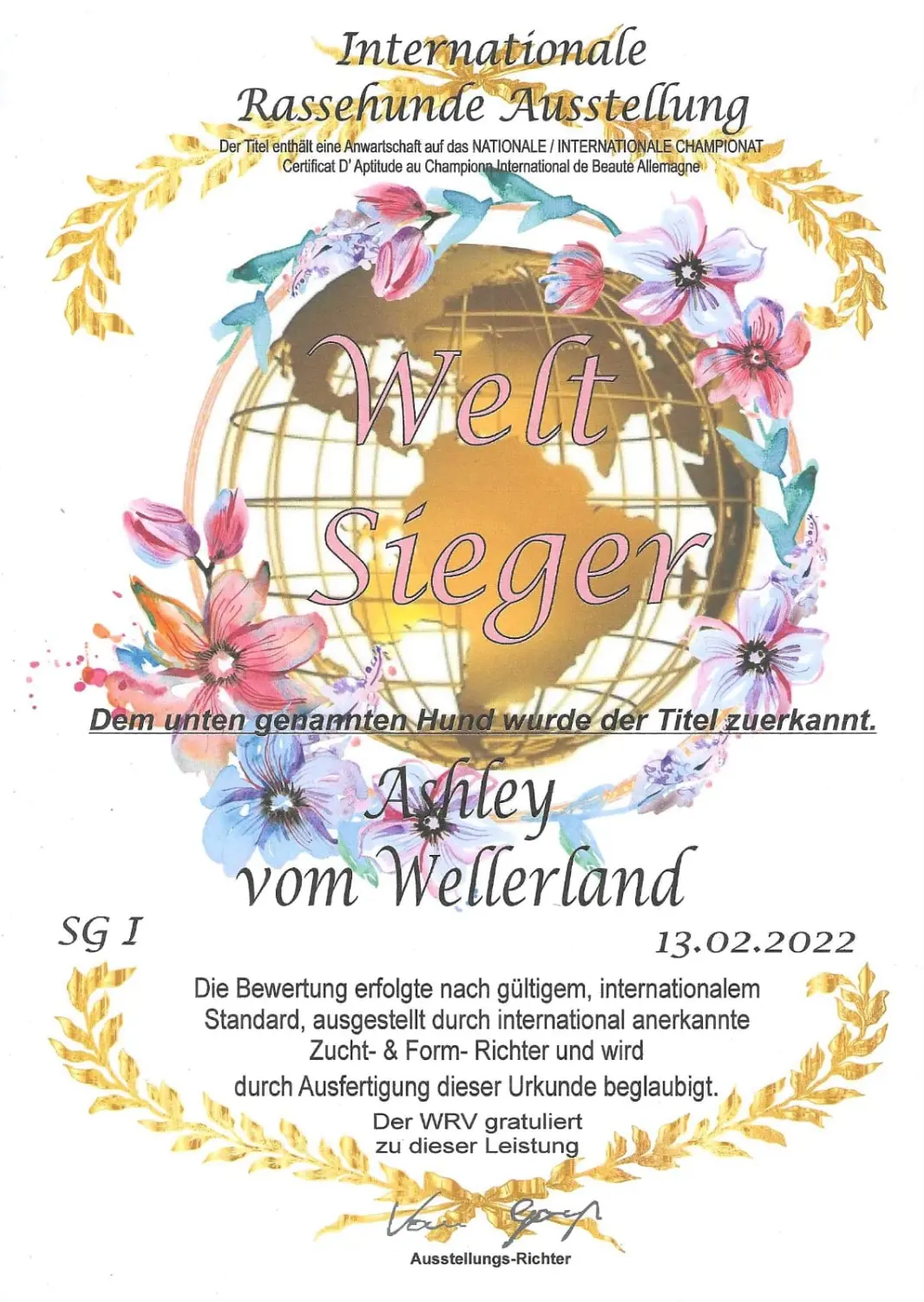 Pomeranianzucht - Hunderasse - Zertifikat