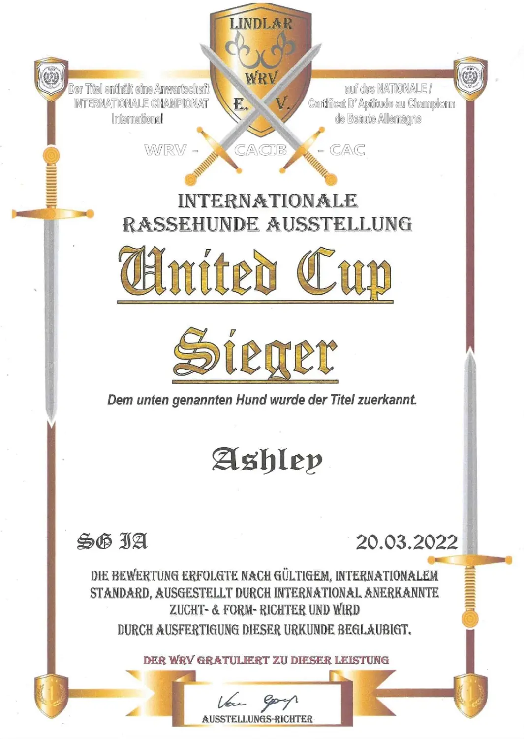 Pomeranianzucht - Hunderasse - Zertifikat