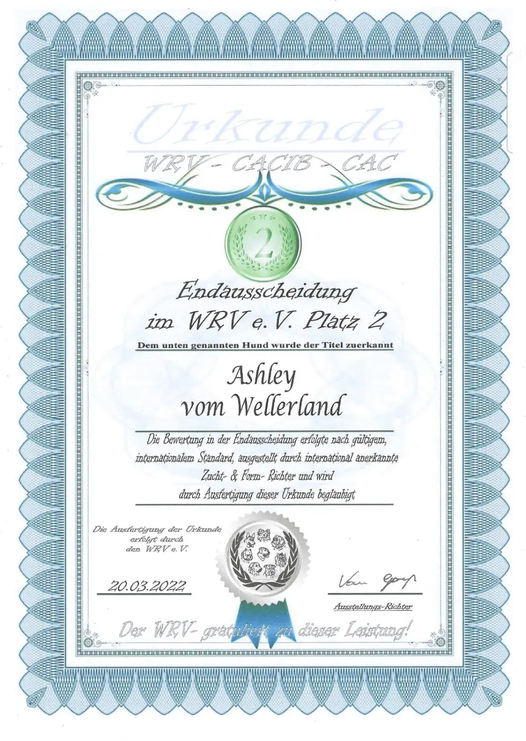 Pomeranianzucht - Hunderasse - Zertifikat