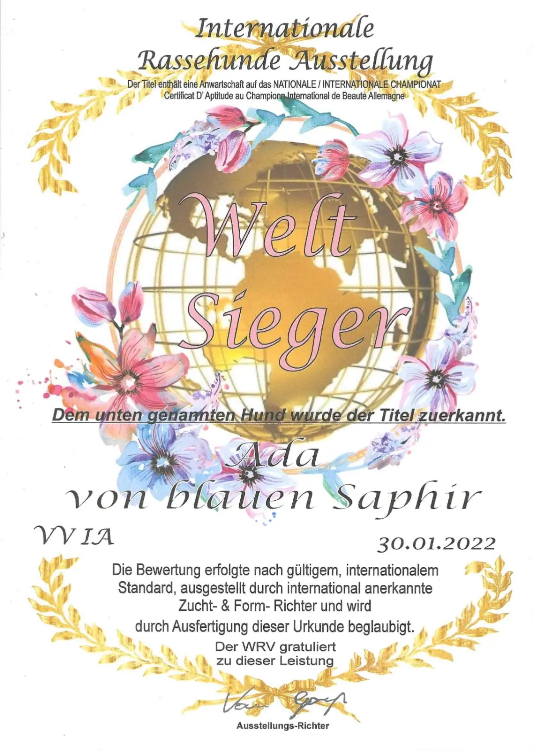 Pomeranianzucht - Hunderasse - Zertifikat