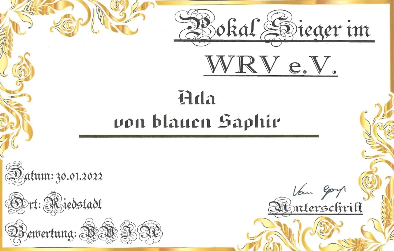 Pomeranianzucht - Hunderasse - Zertifikat