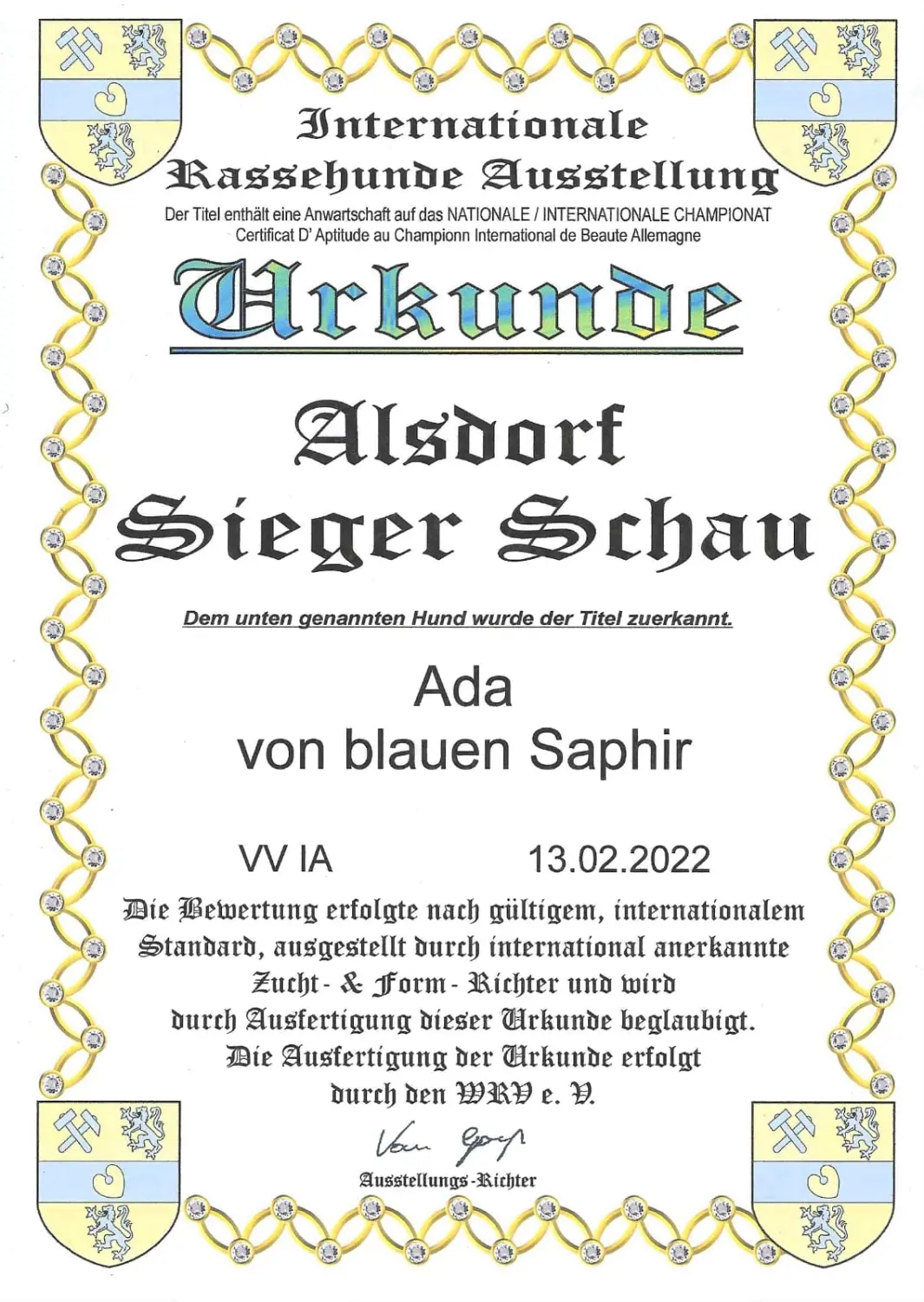 Pomeranianzucht - Hunderasse - Zertifikat