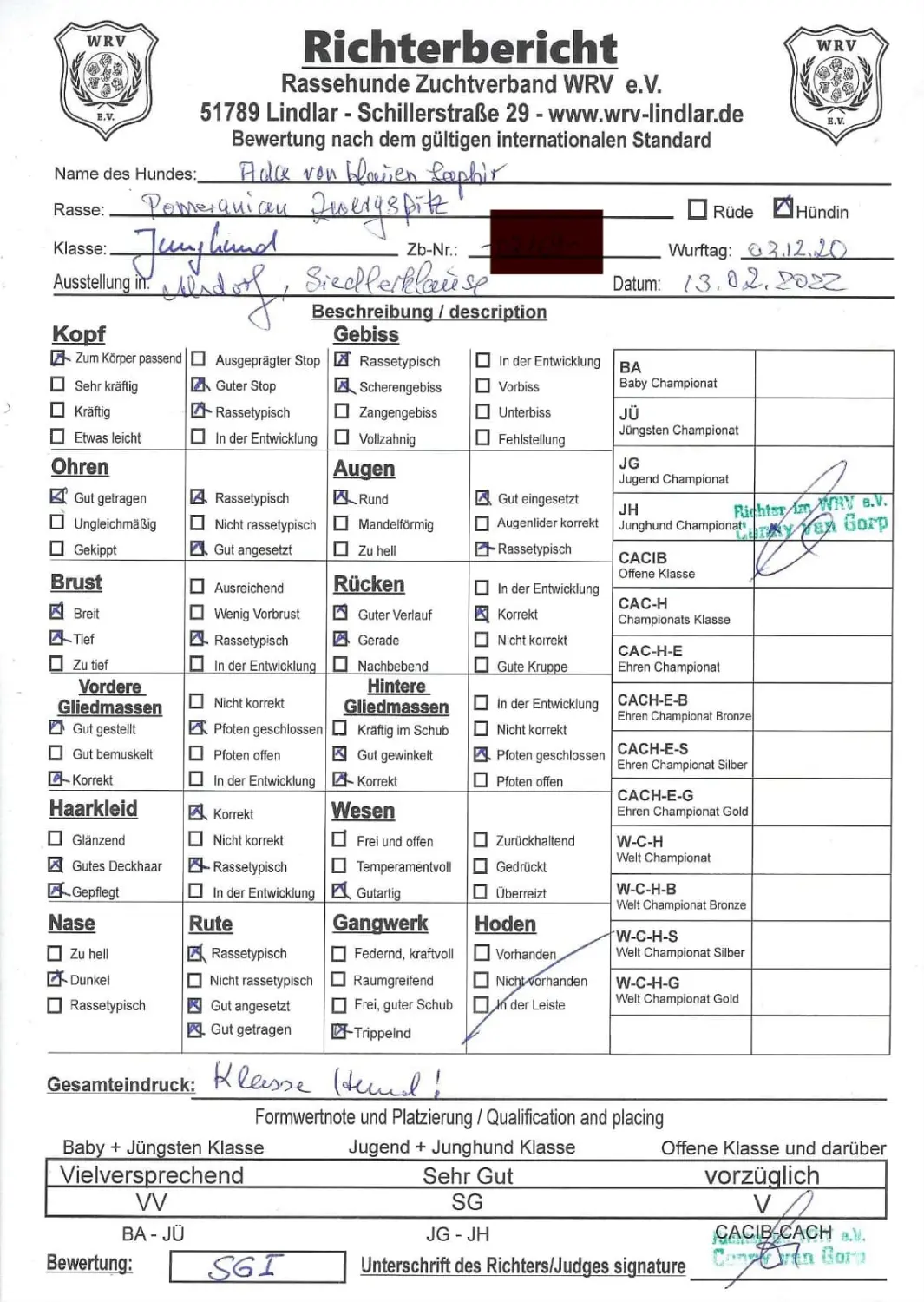 Pomeranianzucht - Hunderasse - Zertifikat