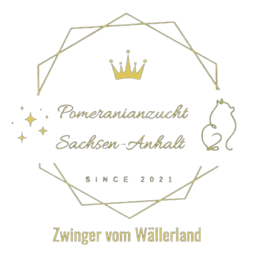 Logo Pomeranianzucht - Hunderasse