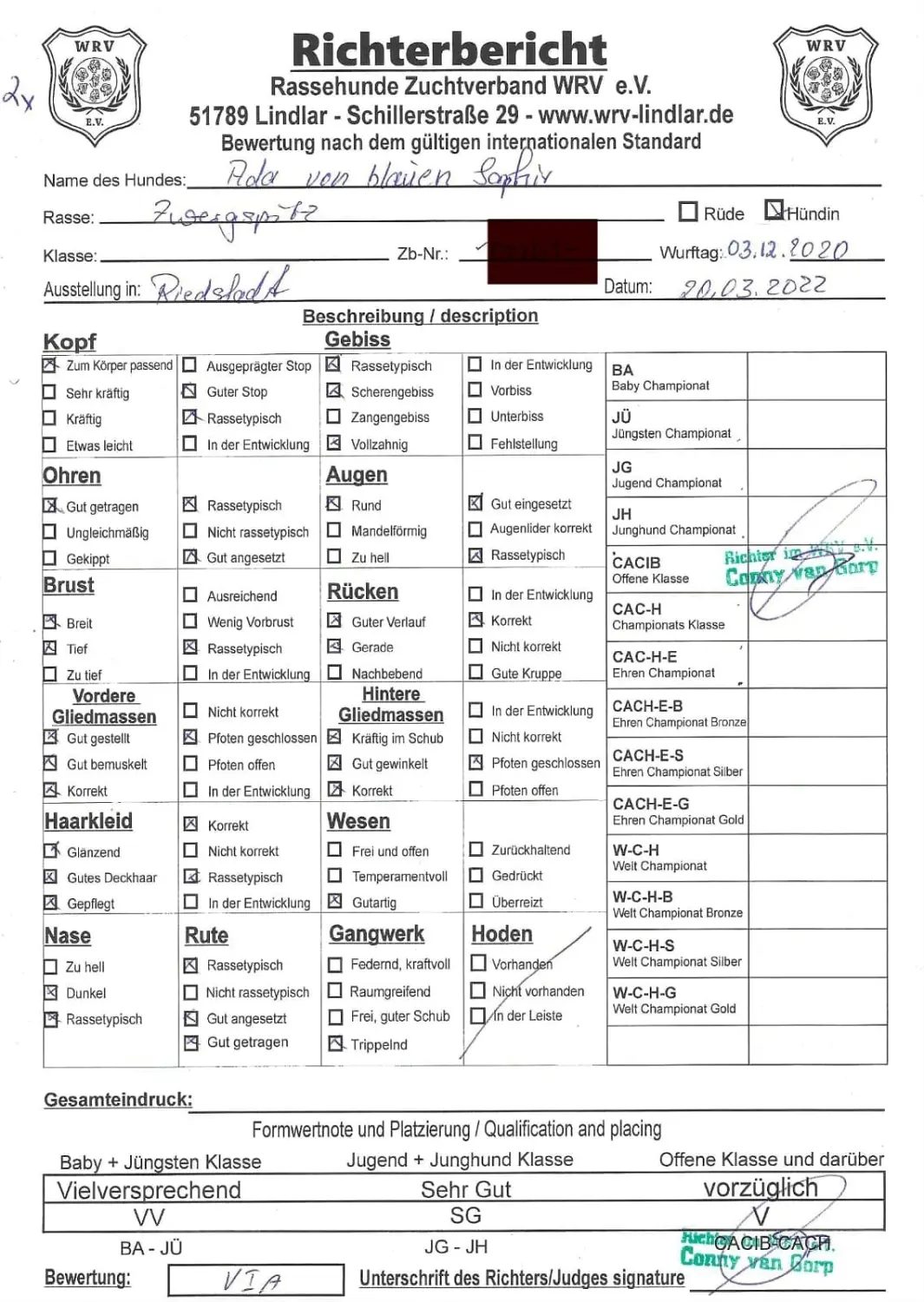 Pomeranianzucht - Hunderasse - Zertifikat