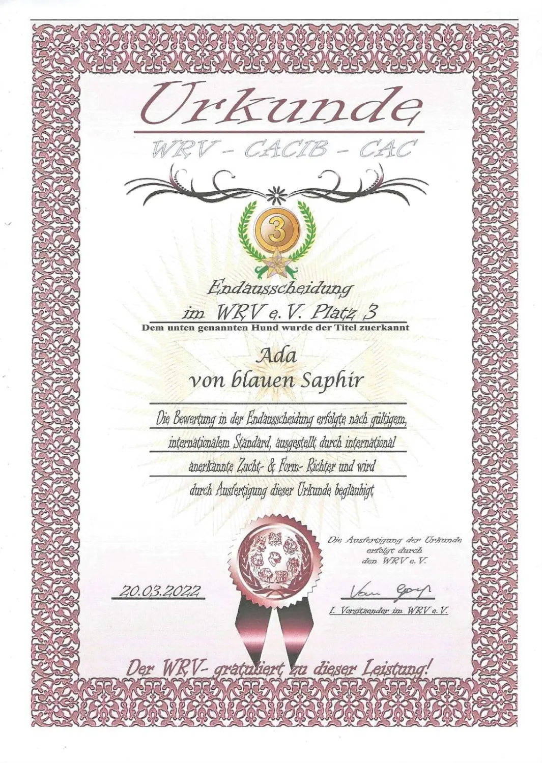 Pomeranianzucht - Hunderasse - Zertifikat