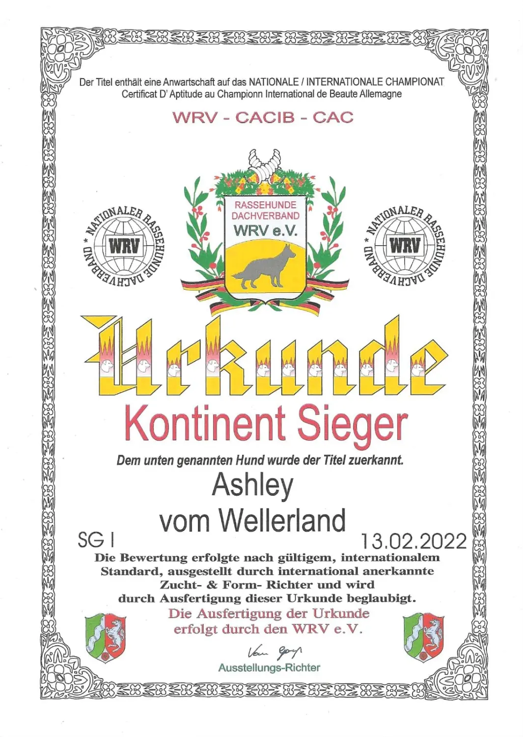 Pomeranianzucht - Hunderasse - Zertifikat