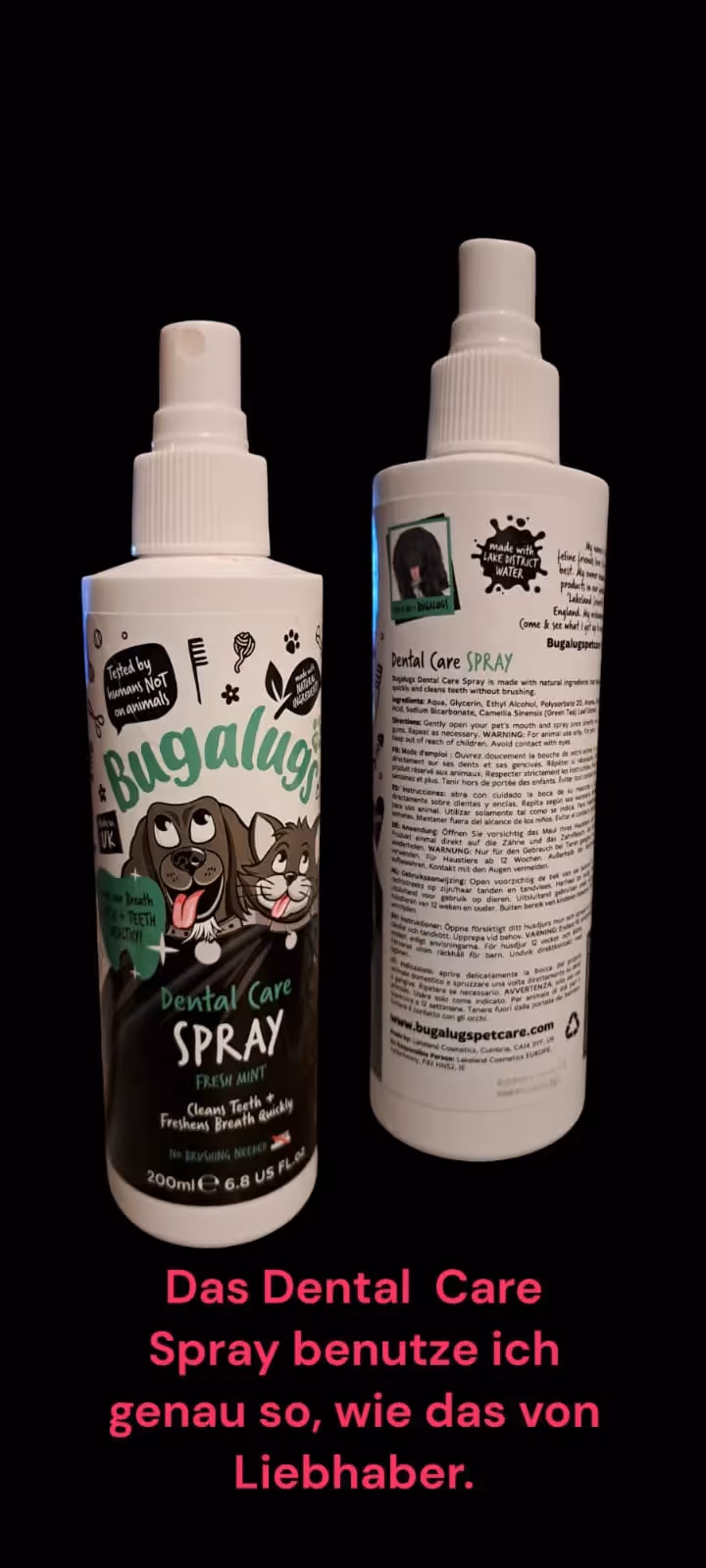 Pomeranianzucht - Hunderasse - Hundezahnspray