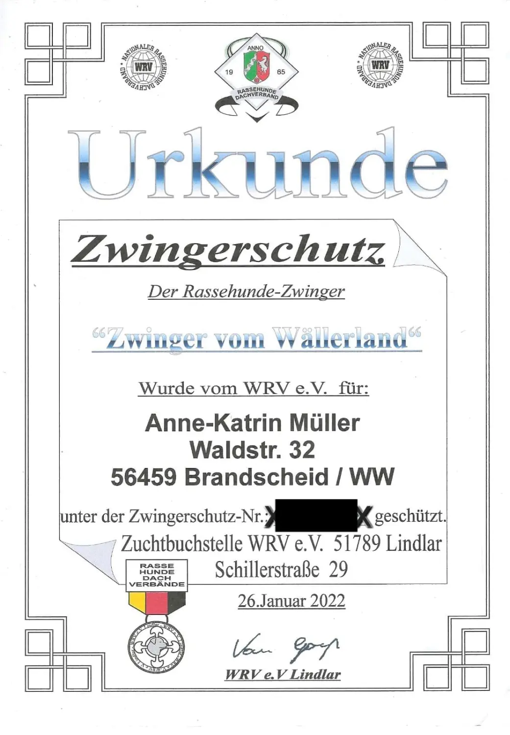 Pomeranianzucht - Hunderasse - Zertifikat