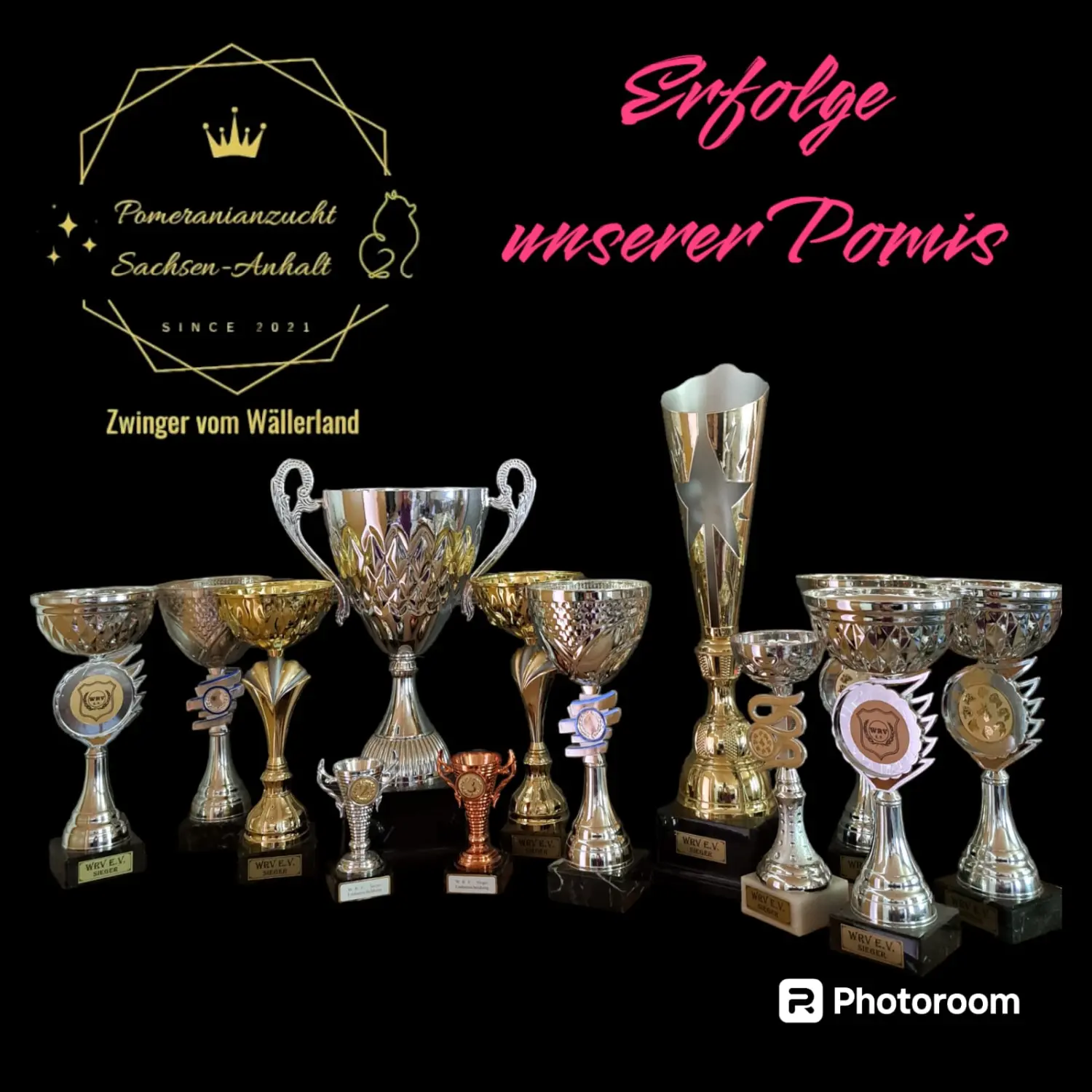 Pomeranianzucht - Hunderasse - Trophäen und Auszeichnungen