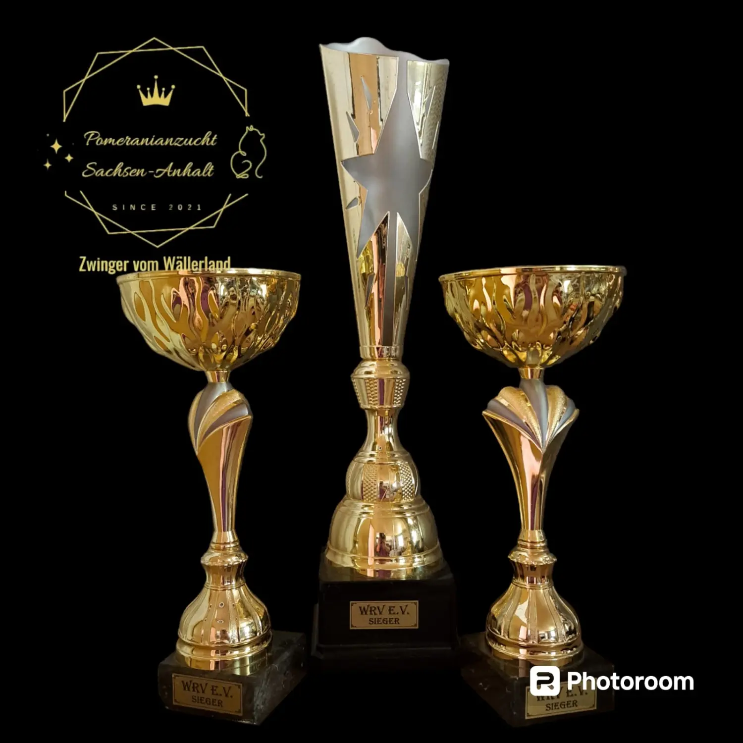 Pomeranianzucht - Hunderasse - Trophäen und Auszeichnungen