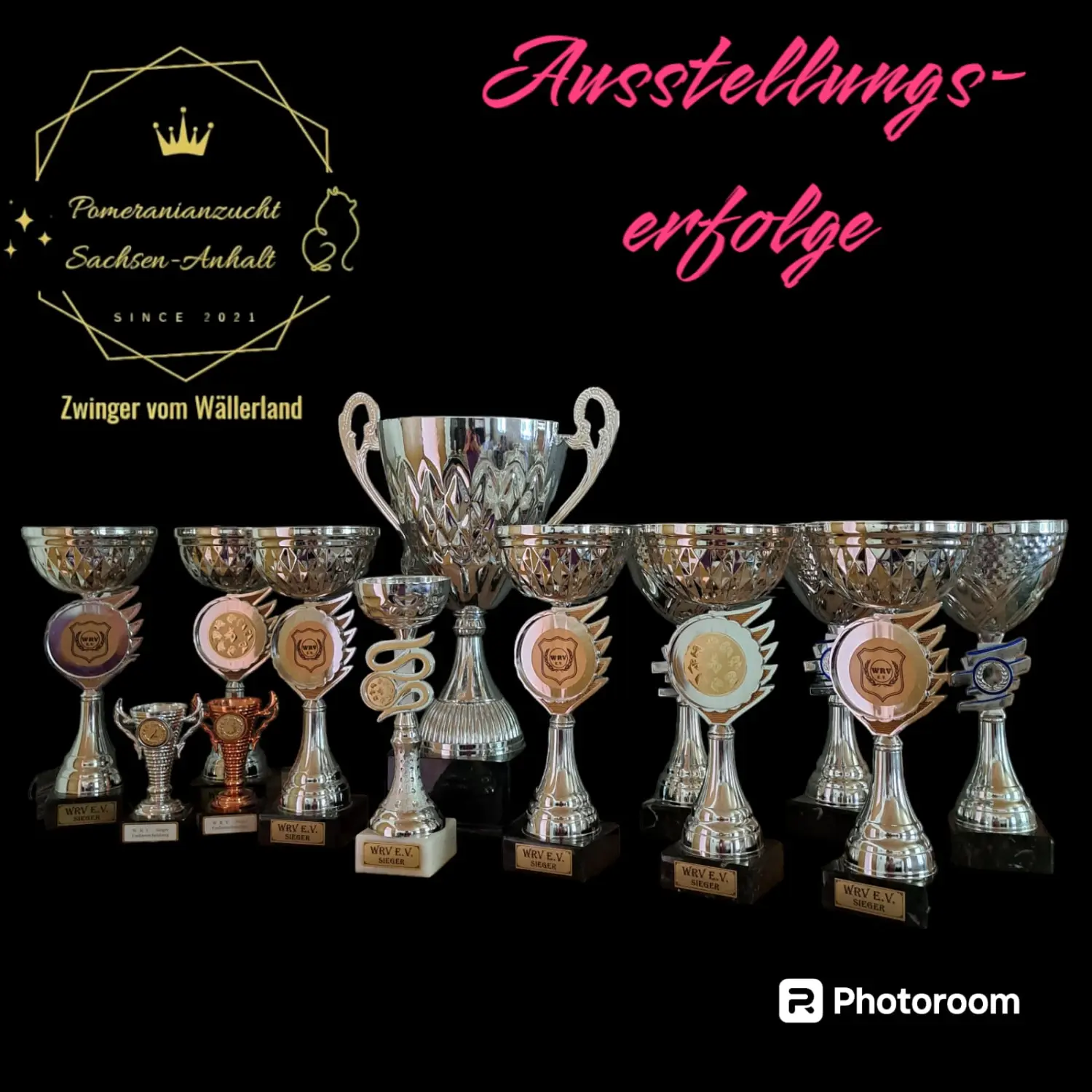 Pomeranianzucht - Hunderasse - Trophäen und Auszeichnungen