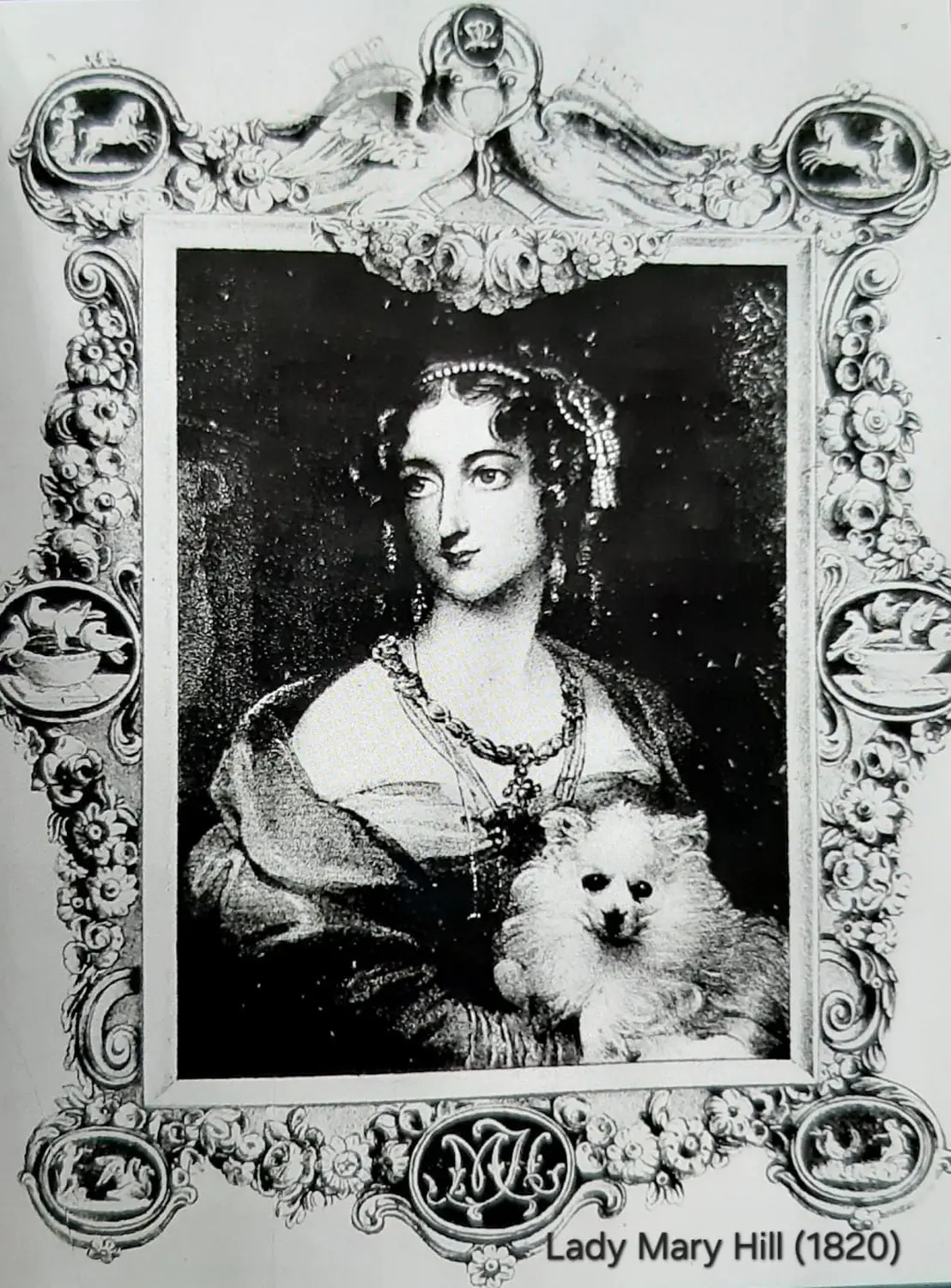 Pomeranianzucht - Hunderasse - Malerei