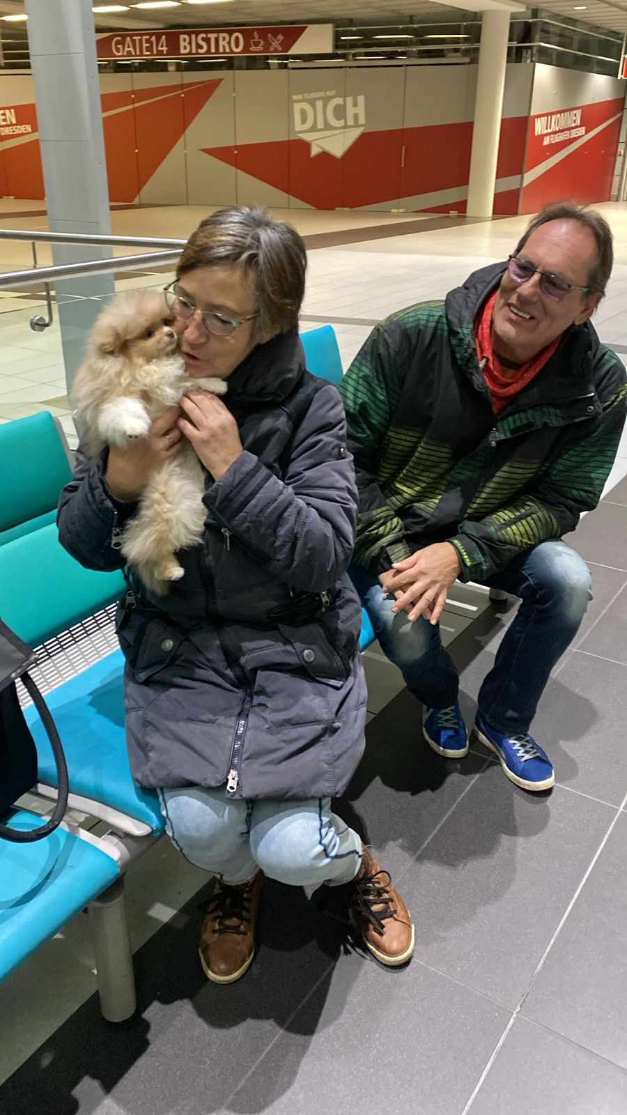 Pomeranianzucht - Hunderasse - Charly