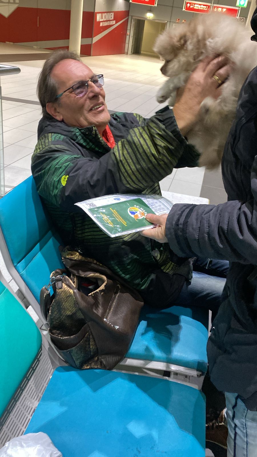 Pomeranianzucht - Hunderasse - Charly