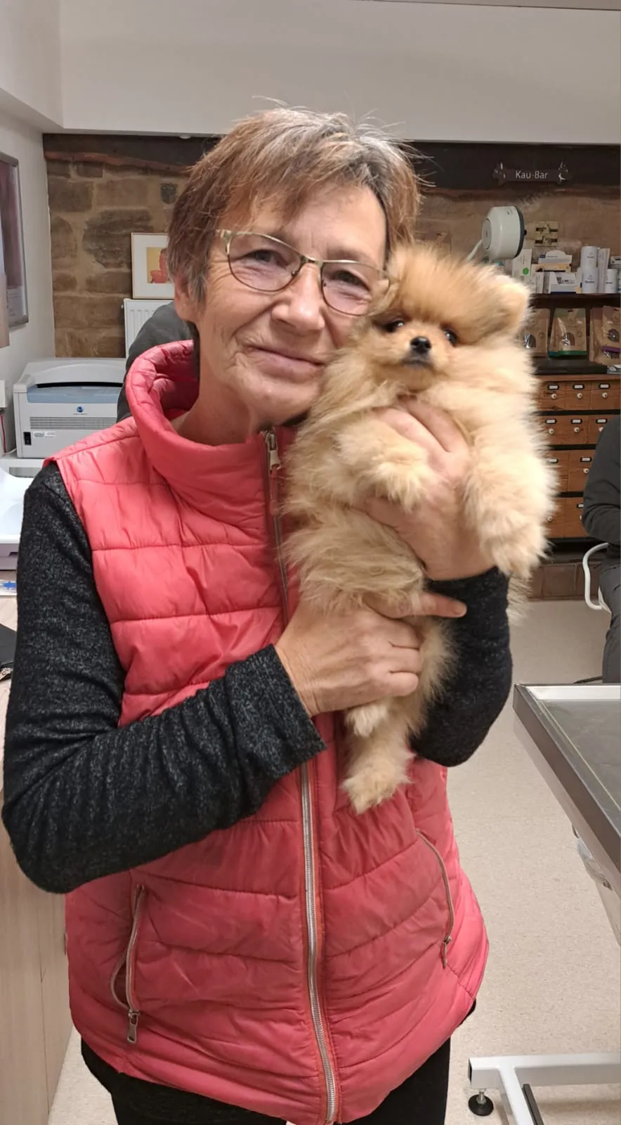 Pomeranianzucht - Hunderasse - Welpen geb. 01.09.2024